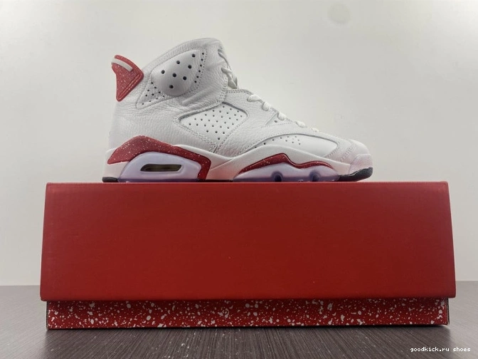 Rep Retro 6 Hare Jordan CT8529-162 0629